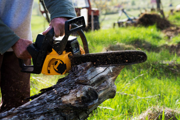 Lawn Renovation and Restoration in Broadway, NC